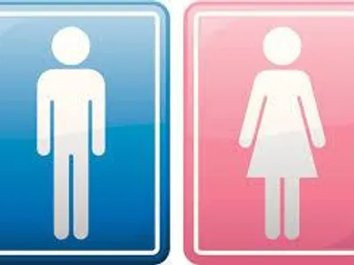 If you were a girl, would you learn different things than boys?