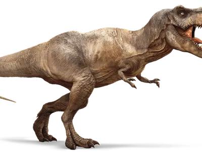 what is this dino