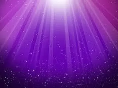 True or false? My favorit color is Purple
