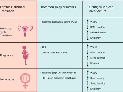 Which hormone helps regulate sleep-wake cycles?