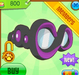 What is this item called?