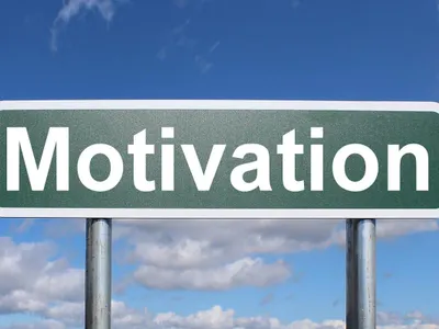 Which of the following is NOT a factor influencing sports performance?