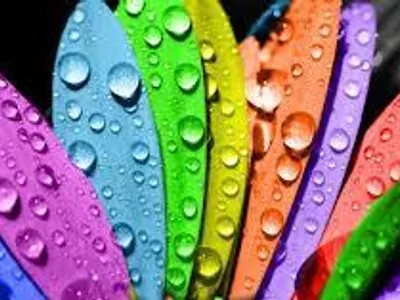 What is my favorite color?