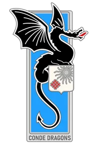 What are the three different classifications of dragons?