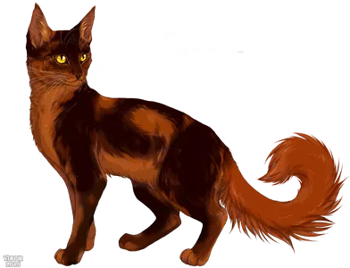 Who was Redtail?