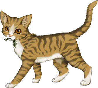 Who did Leafpool love?