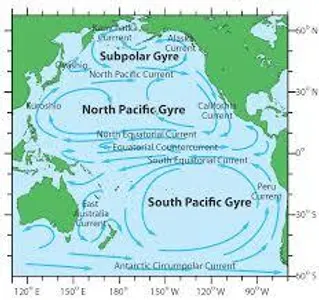What is the term for a large, circular ocean current?