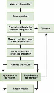 What is the first step in hypothesis testing?
