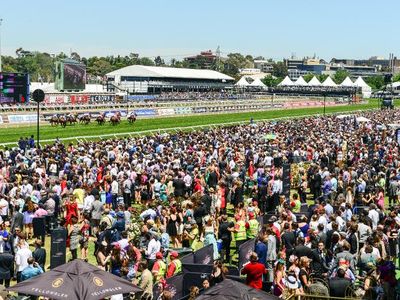 In 2018, what was the combined Race Attendance for all races?