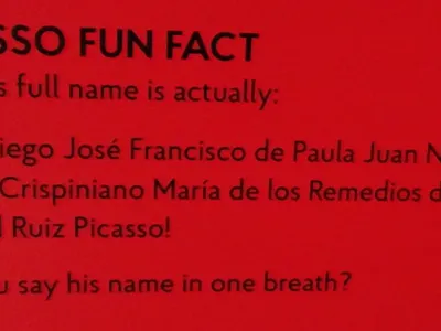What is Picasso's full name?