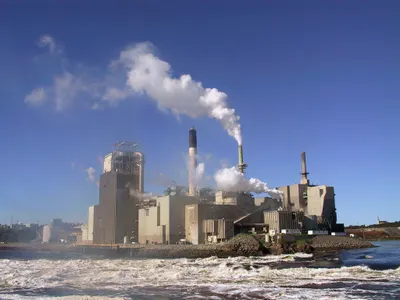 What is one of the Environmental effects of Urbanization?