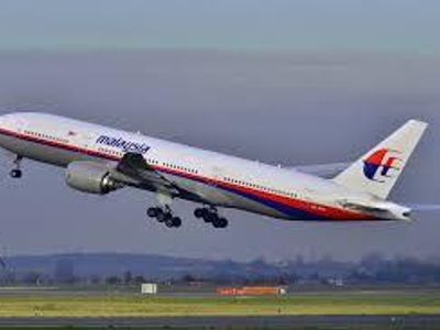 Which airline's plane disappeared over the Indian Ocean in 2014?