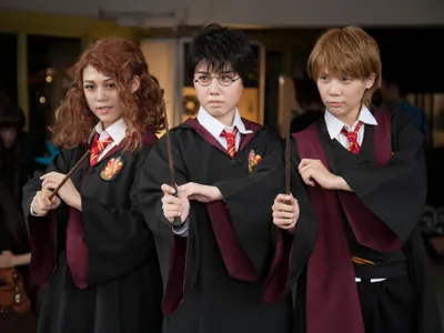 What is the name of the School friend of 'Harry Potter'?