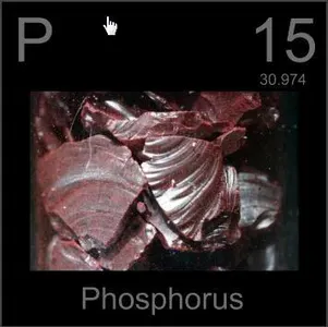 which element is it in the picture?
