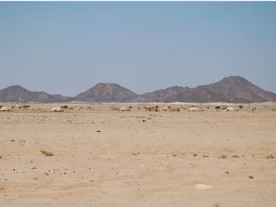 Two men wear packs in the desert. One is dead, and has his pack closed. the other is alive, and his pack is open. What was in the packs?