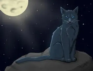 First section: Bluestar First Question; Who was Bluestar's mate?