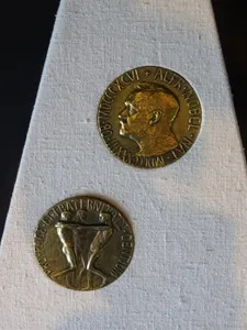 In which year did I receive the Nobel Peace Prize?