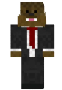 Who is this (PLZ PLZ PLZ put his minecraft name)