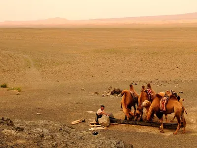 What was the largest contiguous land empire in history?
