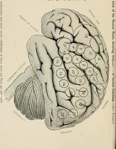 What is the definition of psychology?