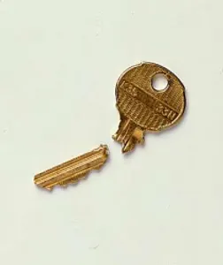 I am full of keys but I can't unlock any doors or keys.