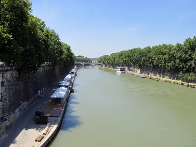 Which river is the longest in the world?