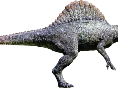 what is it
