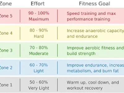 What is the formula for estimating maximum heart rate?