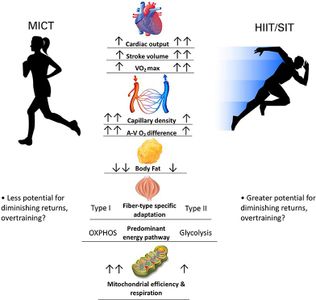 Which of the following is a primary benefit of strength training?