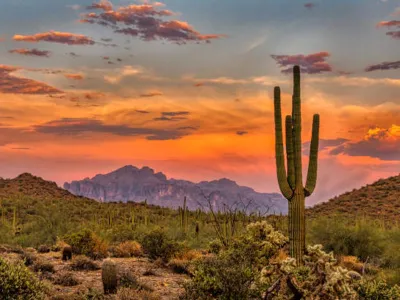 Desert