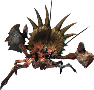 Daimyo Hermitaur