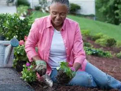 Gardening