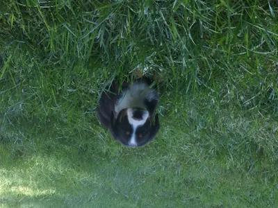 In the backyard! My baby needs to feel free and run like the wind.