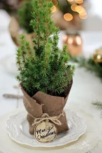 Mini Christmas tree