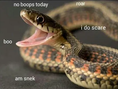 Nope
