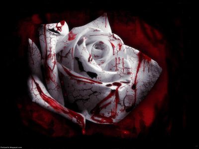 Chapter 37: Alan Dennis Chapter 37: Alan Dennis