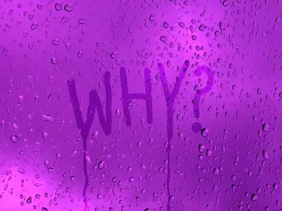 Why? Why?