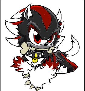 When to black and red hedgehogs meet! When to black and red hedgehogs meet!