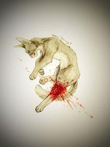 What? Why?! (Chapter 15) What? Why?! (Chapter 15)