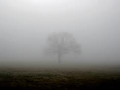 Mist Mist