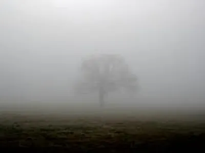Mist Mist