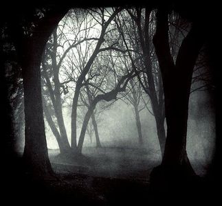 Why Don't You Come and Find Me? Why Don't You Come and Find Me?