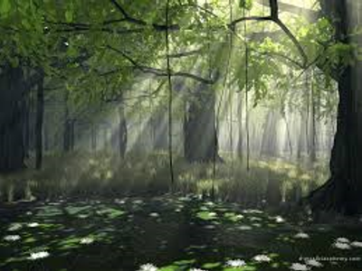 The Forest and the Dog The Forest and the Dog