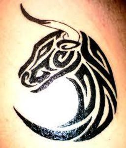 Taurus Taurus