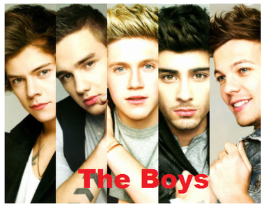 The Boys The Boys