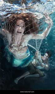 If nets could kill If nets could kill