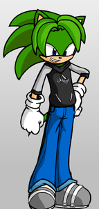 Herald the Hedgehog Herald the Hedgehog