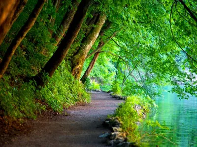 Nature Nature