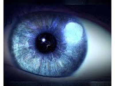 His Eyes are Open, but Where is the Light? His Eyes are Open, but Where is the Light?