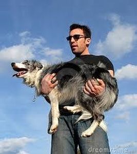 The Betrayed Dog The Betrayed Dog
